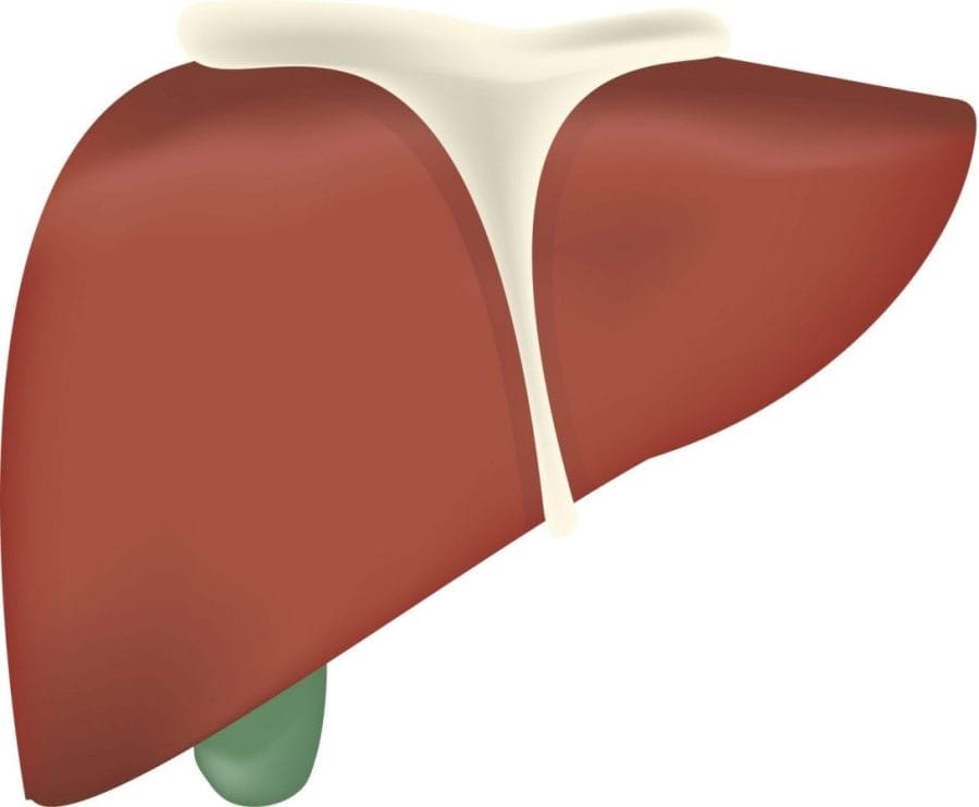 cirugia laparoscopica de vesicula biliar